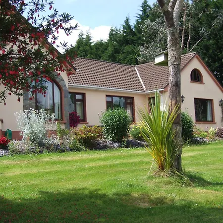 O'Sheas Ceol Na Habhann B&B-2