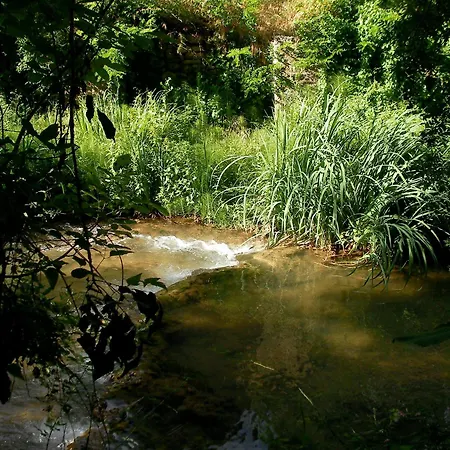 Le Vieux Moulin-3