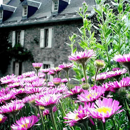 Maison Jeanne-2