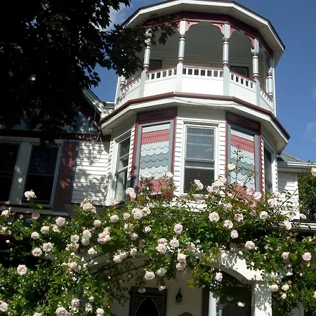 Bondy House Bed & Breakfast-2