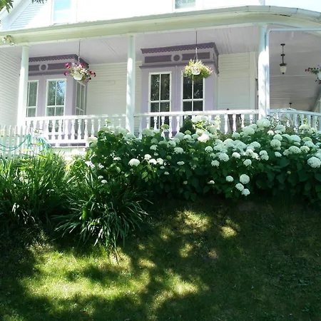 O Bois Dormant B&B-3