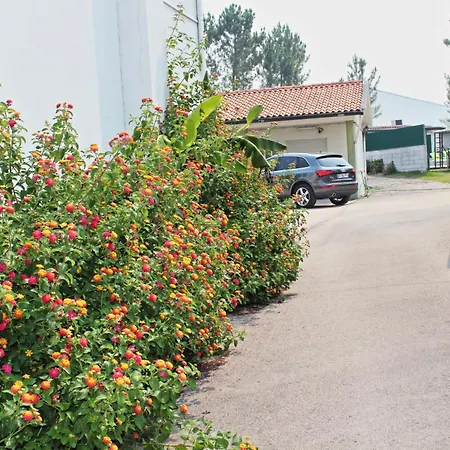 Residencial Pinho Verde-3