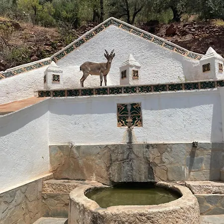 Viva Espana-2
