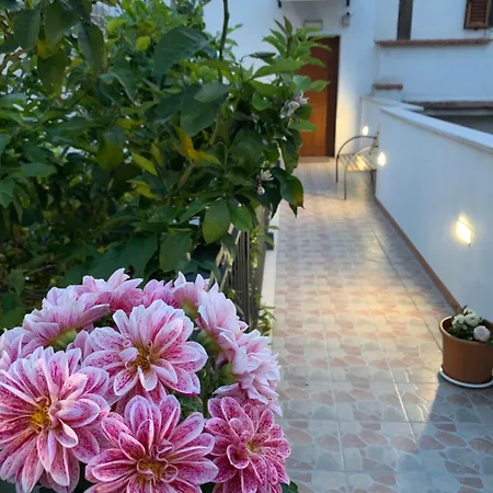 B&B Di Fiore-3