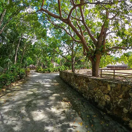 The Mayan Garden-2