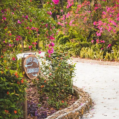 The Mayan Garden-3