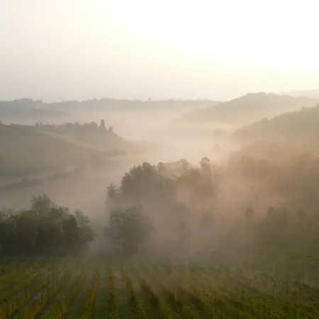 Villa Pallavicini B&B-2