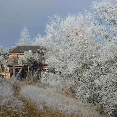 Cabanes hobbit et Figuiers-2