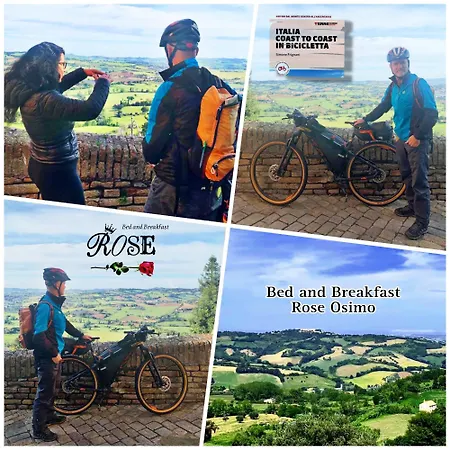 B&B Rose Osimo-2