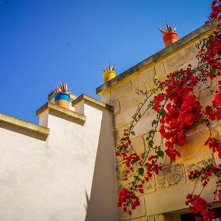 La Muzza Bed&Breakfast-3