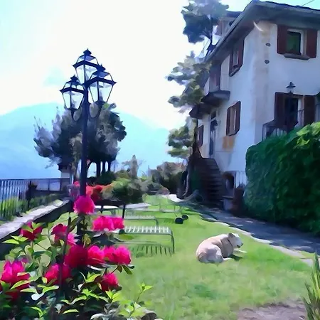 B&B Villa Moro - Holistic House-3