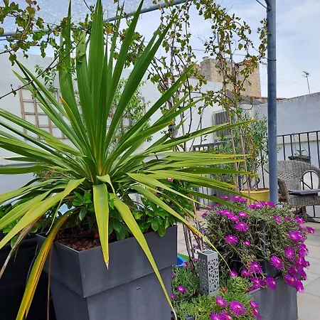 Le Petit Patio-3
