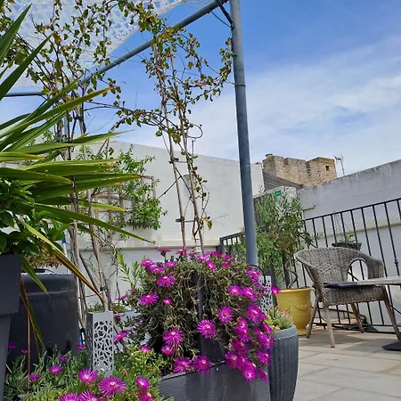Le Petit Patio-3