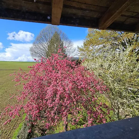 Au Refuge Des 3 Ours - Chambres d'hôtes et cabanes-2