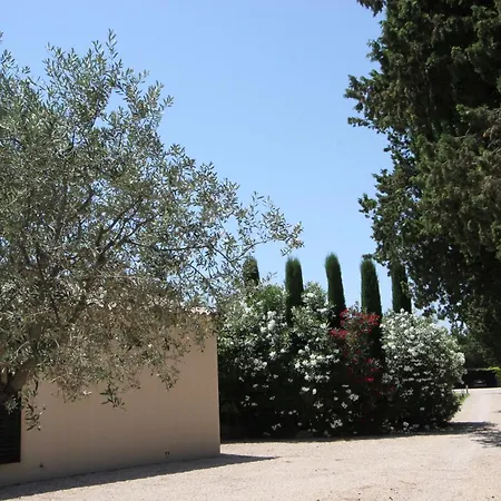 Mas Paloma-3
