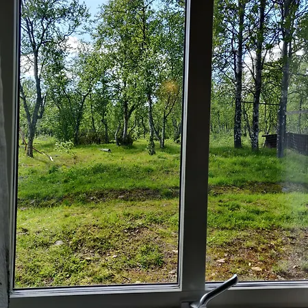 Husky Lodge Hostel-3
