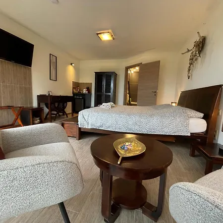 B&B Le Bouchat-Oreille-3