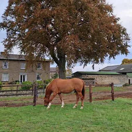 Ashton Lodge Farm-3