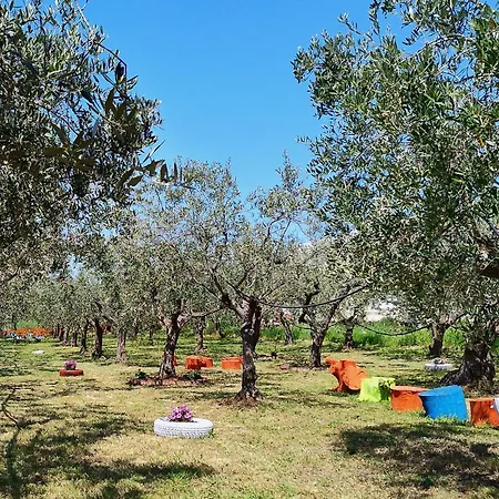 Colline del sole-3