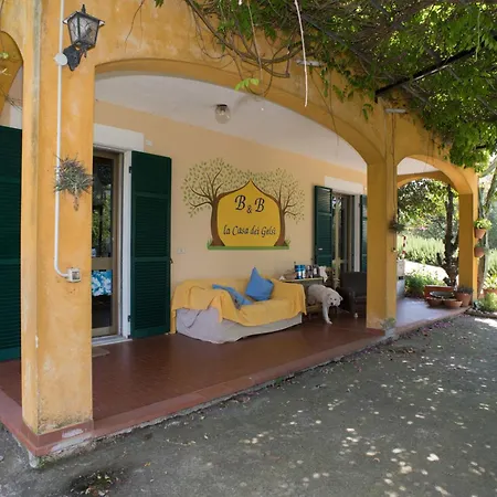 B&B La casa dei gelsi-3