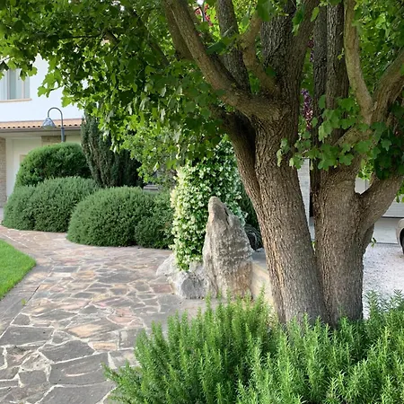 B&B Beauty House - Jacuzzi - Giardino Privato-2