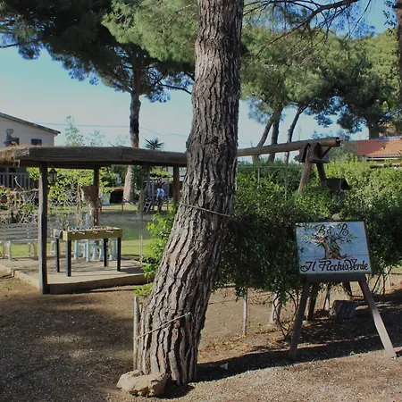 Il Picchio Verde-3