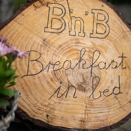 Breakfast in bed-2