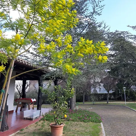 B&B Villa Lupidi-2
