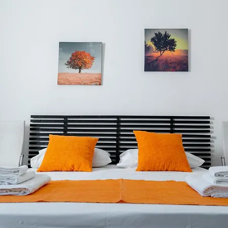 B&B Ortensia-2