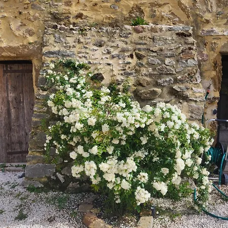 Bastide De La Madeleine-2