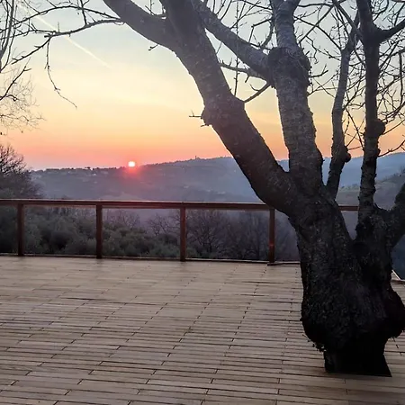 "Cara Pace" In Collina - Guest House-2