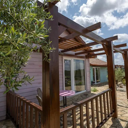 The Olive Hill Guesthouse-3