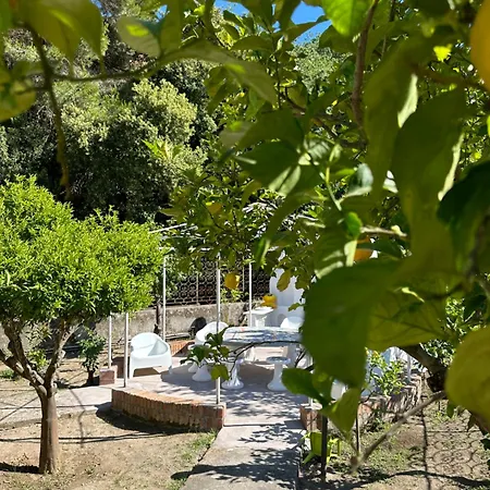 Villa Carruba-2