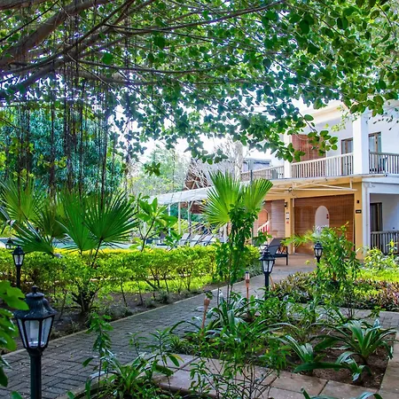 The Garden Lodge Pereybere - Piscine & Jardin-3