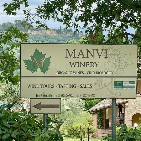 The Grapevine By Manvi-2