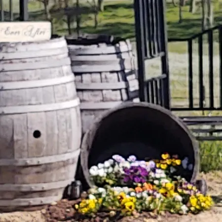 The Branded Calf Bed & Breakfast-3