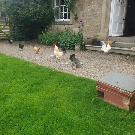 Low Gingerfield Farm B&B-3