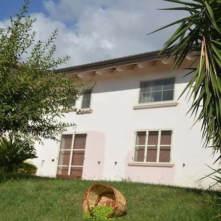 B&B Macchia d'Olmo-2
