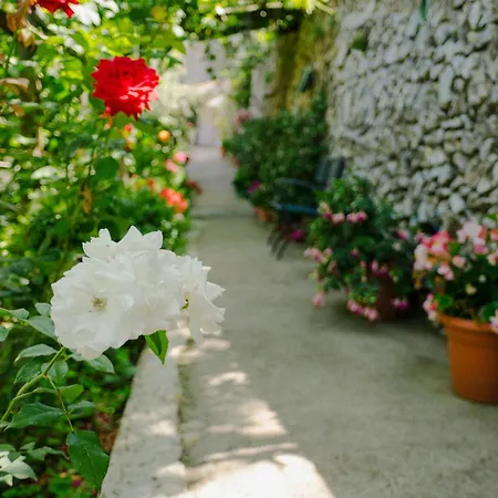 Rosa e Valentino-2