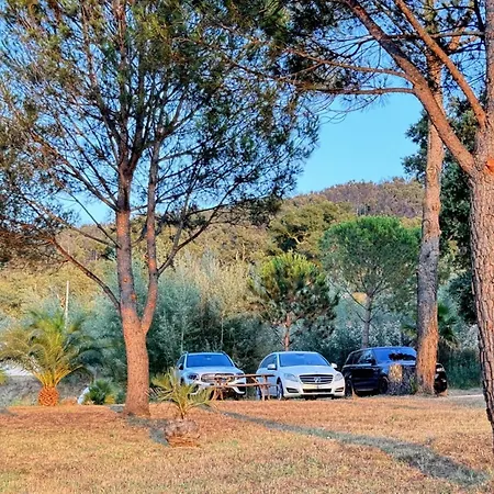 Villa La Source 83 - Room Close To St Tropez-3