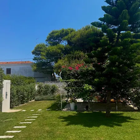 Spirito Santo-2