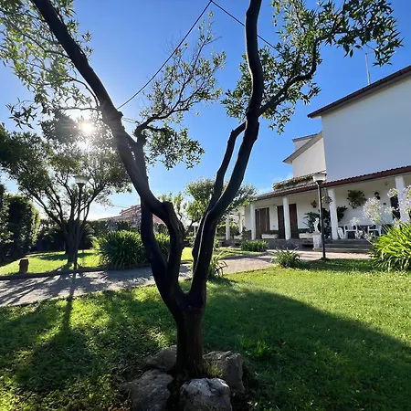 Giardino Degli Aranci B&B-3