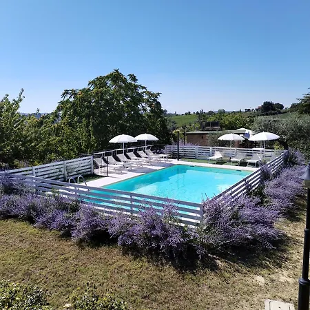 B&B Il Gelso Country House-2