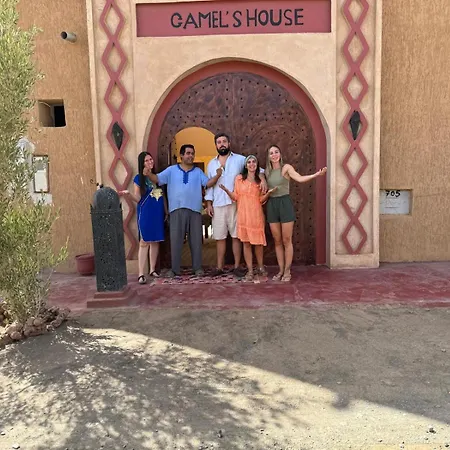 Camels House-3