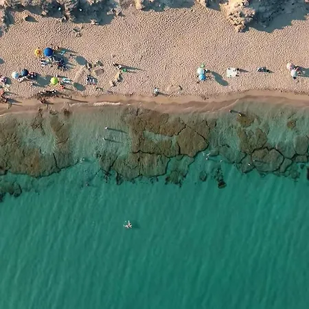 Pinulà-2