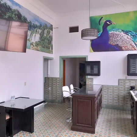 Loft Canarios-2