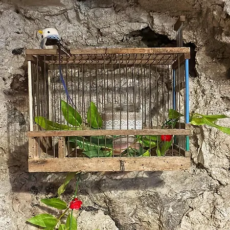 Una Volta-3