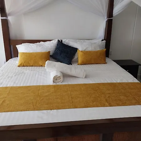 Serenity Cove-3