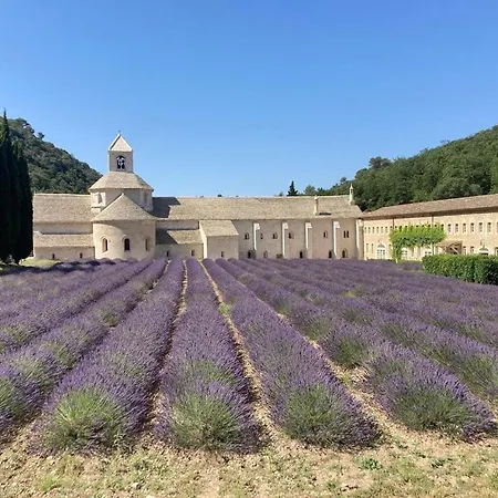 La Borie en Provence-2