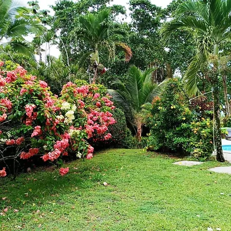 La Diosa Nature Lodge-2